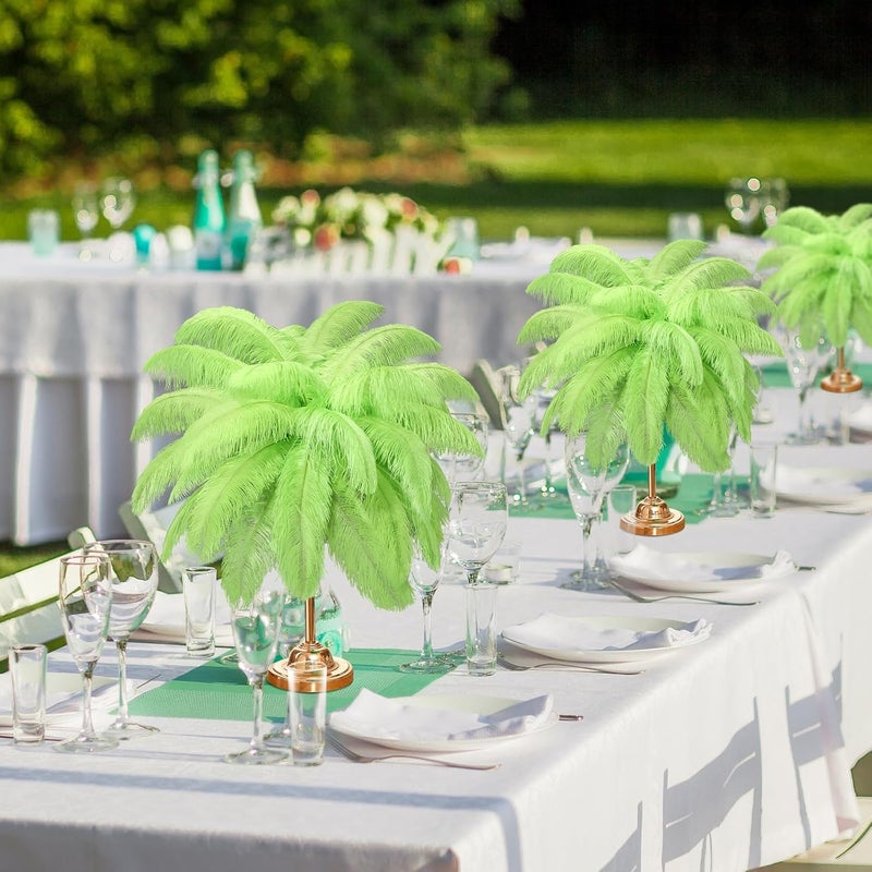 Retrowavy Store 50 Pcs 14-16 Inches Large Natural Ostrich Feathers Bulk for Centerpieces for Wedding Party Centerpieces Home Decoration Flower Arrangement (Green) - Image 4